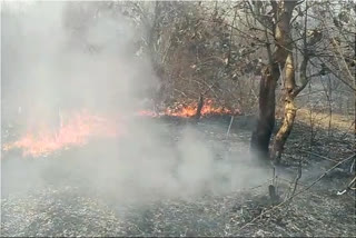 Villagers set fire in Tumbia forest of Chatra