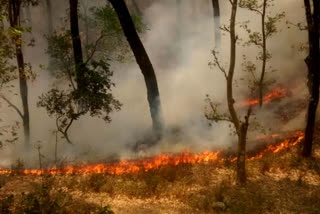 Incidents of fire in the forests of Uttarakhand