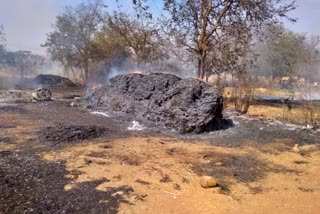 ಮೆಕ್ಕೆಜೋಳ, ರಾಗಿ ಬಣವೆ