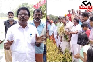 ldf candidate harvest in kottayam  കോട്ടയത്ത് നൂറു മേനി കൊയ്‌ത് എൽഡിഎഫ് സ്ഥാനാർഥി  അഡ്വ. കെ. അനിൽകുമാർ  k anilkumar ldf  kottayam ldf  കോട്ടയം എൽഡിഎഫ്  മാങ്ങാനം ചെമ്മരപ്പള്ളി