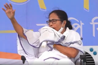 bengal election 2021_mamata banerjee admits amphan corruption at raidighi and kulpi rally