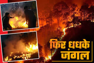 forest fire in uttarakhand