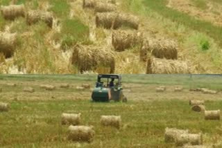 Straw price hike  വൈക്കോൽ വില വർധന  നെൽ കർഷകർക്ക് ആശ്വാസമായി വൈക്കോൽ വില വർധന  Straw price hike to bring relief to paddy farmers  തൃശൂർ  thrissur  തൃശൂർ കർഷകർ  thrissur farmers