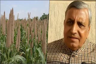 agriculture minister jp dalal in bhiwani