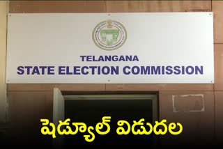 sec issued Notification for identification of polling centres