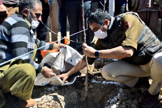 محکمہ باغبانی نے ہائی ڈینسیٹی پلانٹیشن مہم کا آغاز کیا