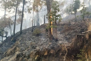 Fire in the forests of Berinag