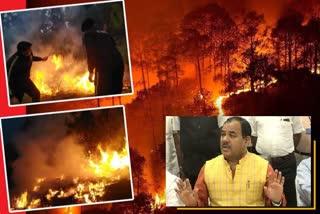 forest-department-officials-were-given-the-charge-of-the-districts-to-deal-with-forest-fires