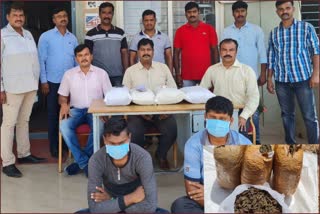 two-lakh-worth-marijuana-seized-and-two-arrested