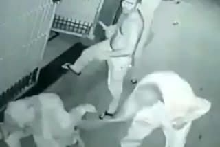 Viral video of beating women from Modinagar area of Ghaziabad goes viral