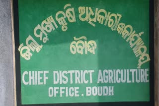 Corruption blooms in boudha agriculture office