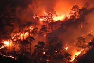 Uttarakhand fire