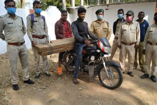 6 accused arrested for smuggling wood in koriya