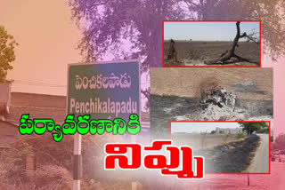 trees Burning in Kurnool district