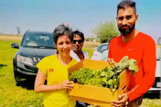 organic farming marathon