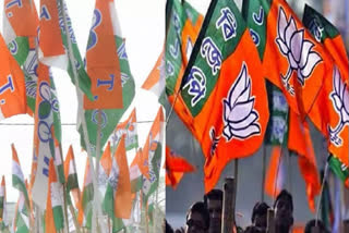 candidates-of-trinamool-bjp-and-congress-did-their-campaign-in-raiganj-assembly-on-sunday