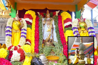Lakshmi Narasimha Swami  Brahmotsavalu in kadiri
