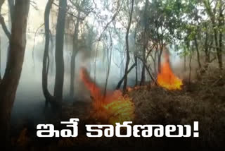 reasons behind fire at nallamala
