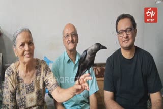 Mumbai visually challenged crow news