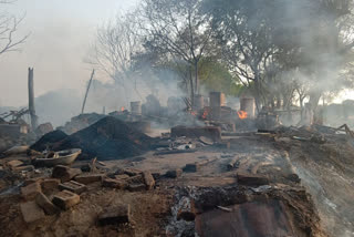 भोजपुर के दो गांवों में भीषण आग