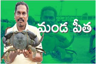 manda-crab-at-kakinada