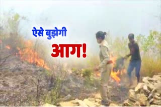 forest fire fighting