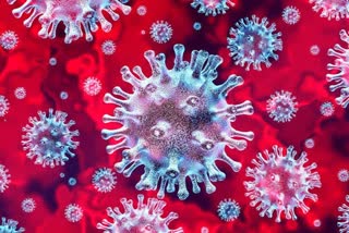 لداخ میں کورونا وائرس کے 29مثبت معاملات
