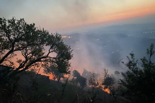 उत्तराखंड के जंगलों में लगी आग