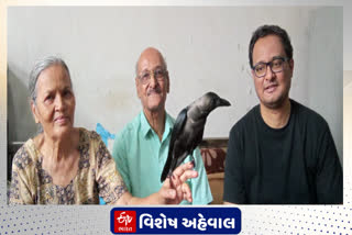 એવો પરીવાર જેમનો ઘરનો સભ્ય છે એક કાગડો