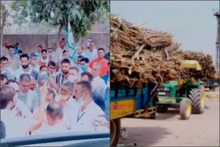 yamuna nagar sugar mill