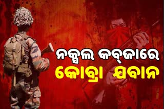 ବିଜାପୁର ବର୍ବରତା: ନକ୍ସଲଙ୍କ କବଜାରେ କୋବ୍ରା ବାଟାଲିୟନ ଯବାନ