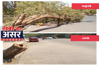 fallen-tree-was-removed-from-the-main-road-of-lado-sarai