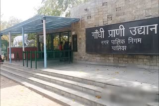 Gandhi Zoological Park Gwalior