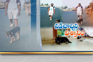 dog news, ap jangareddy gudem news