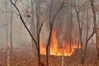 fire in Keregaon forest