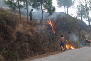 Uttarakhand forest fire