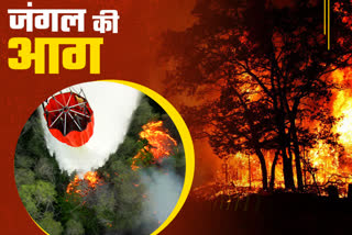 Forest Fire in Uttarakhand
