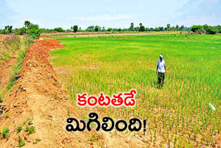 crop draining, crop draining  in suryapet