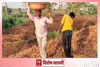 Employment from agriculture Nanded