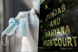 punjab haryana high court on mask