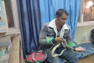 Meet Himachal's 'snakeman' who has caught over 500 serpents