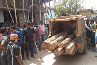 Precious teak wood was seized in Latehar