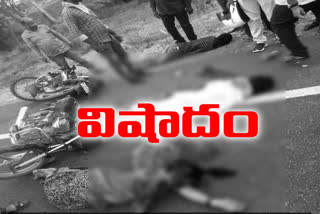 brother and sister died in road accident at gadwal mandal, jogulamba district