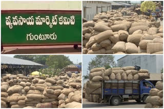 tomorrow   holiday to guntur mirchiyard to clear the stock