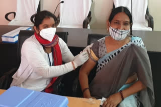 दौसा की ताजा हिंदी खबरें, Mobile Vaccination Center