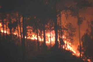 Rains may have scaled down Uttarakhand forest fires