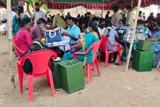 election officers arrangements on parishath  at  nellore district