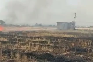 Fire in wheat field, fire extinguished with the help of villagers