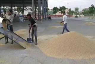 Haryana adhati strike anaj mandi karnal