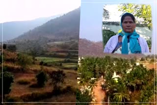 Many women from Karnataka working as forest watchers